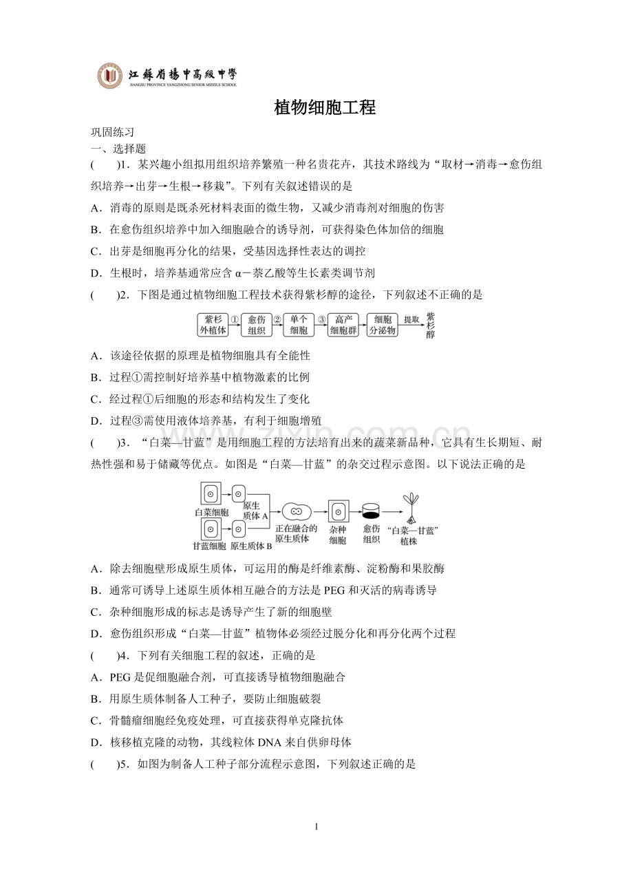 植物组织和细胞培养技术.doc_第1页