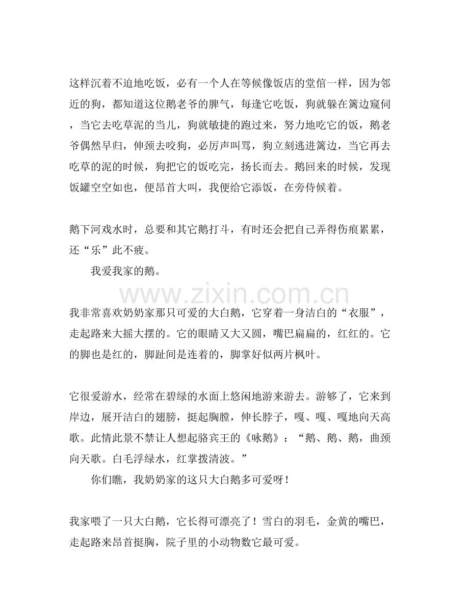 白鹅小学作文范文.doc_第2页