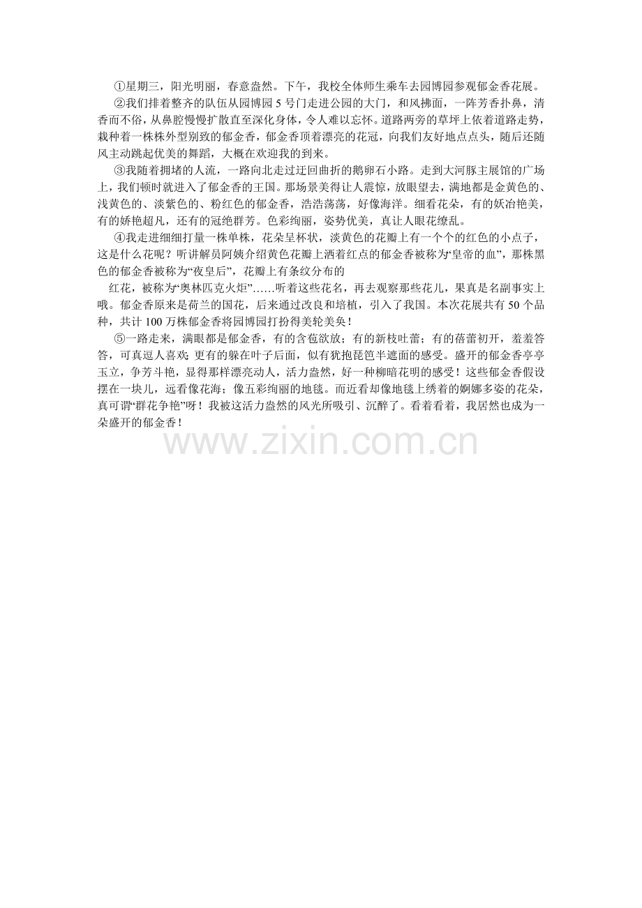 新春花展作文350字.doc_第2页