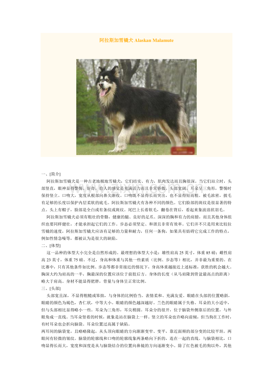 阿拉斯加雪橇犬.doc_第1页