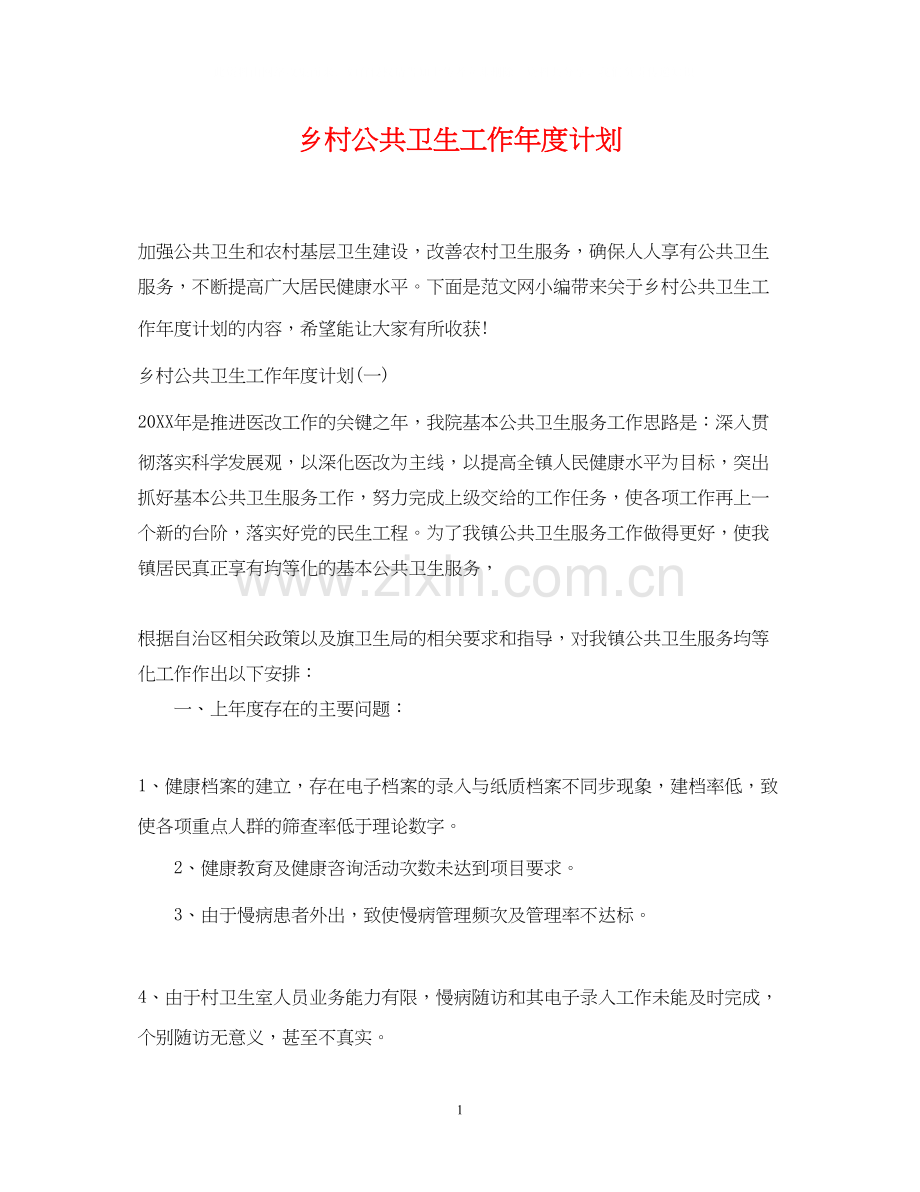 乡村公共卫生工作年度计划.docx_第1页