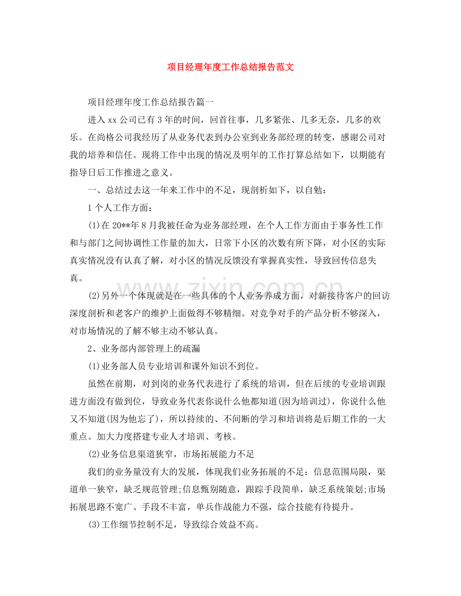 项目经理年度工作总结报告范文.docx_第1页
