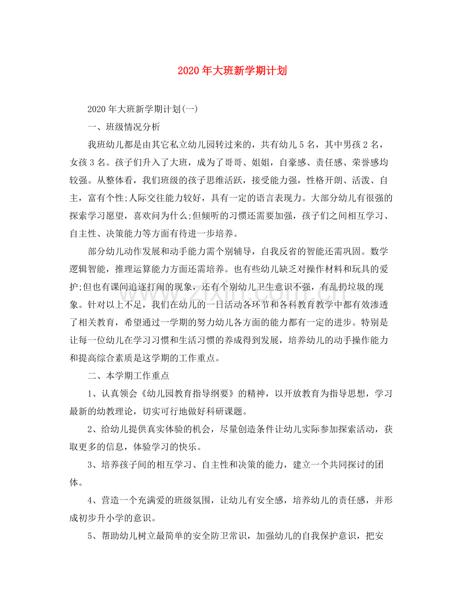 2020年大班新学期计划.docx_第1页