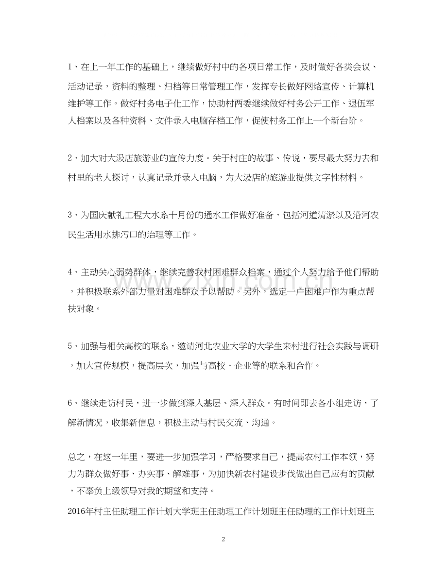 村主任助理年度工作计划范例.docx_第2页