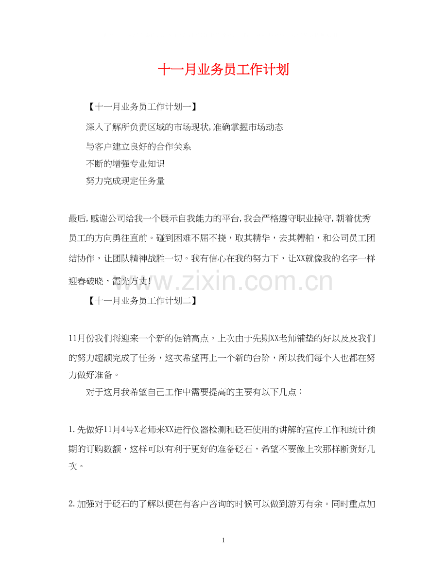 十一月业务员工作计划.docx_第1页
