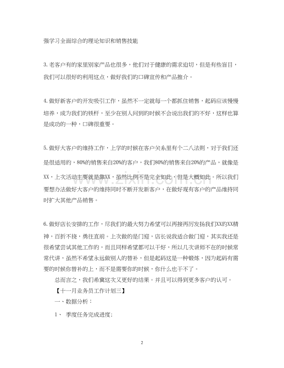 十一月业务员工作计划.docx_第2页