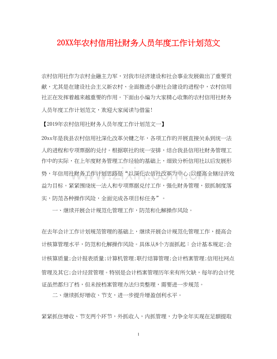 农村信用社财务人员年度工作计划范文.docx_第1页