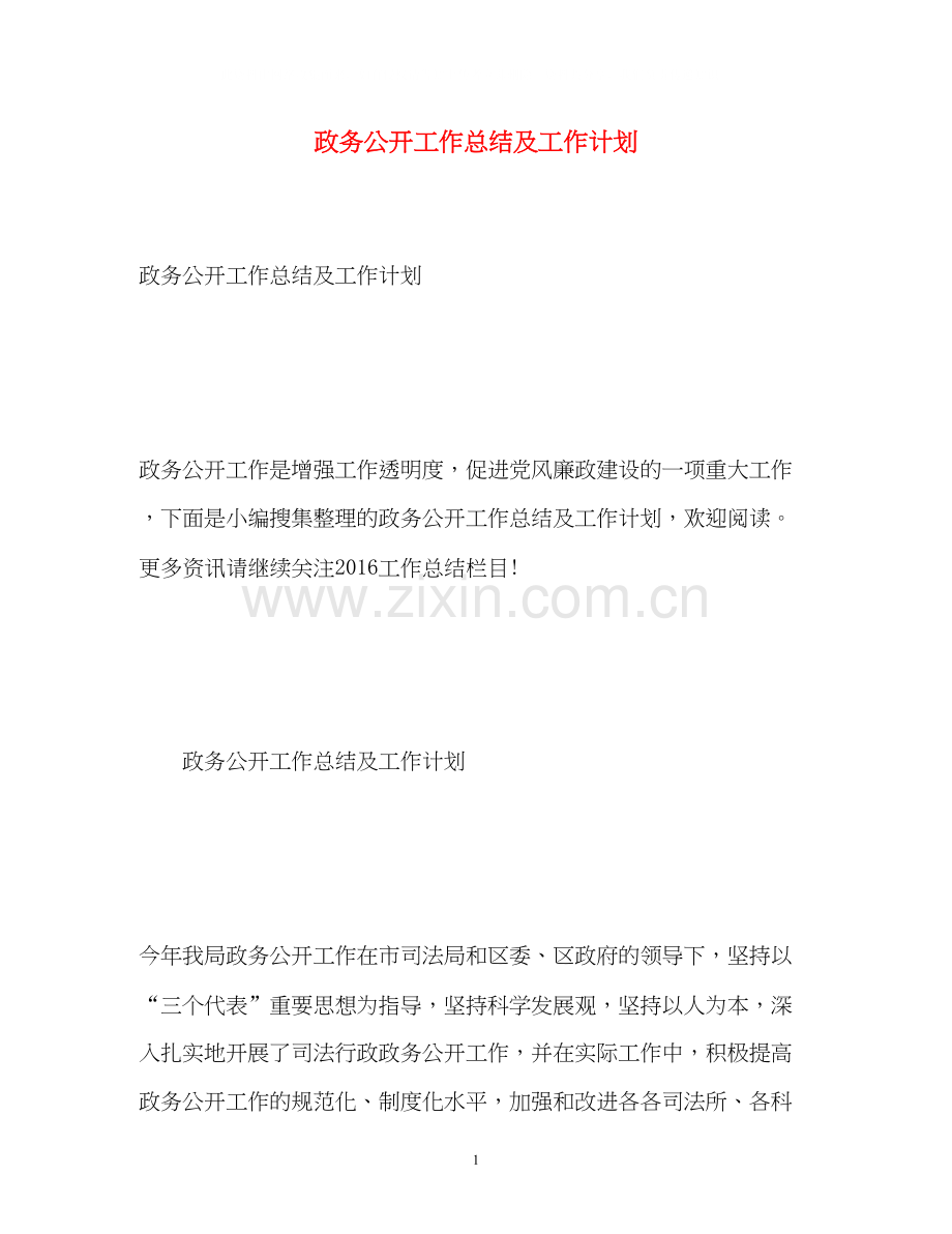 政务公开工作总结及工作计划.docx_第1页