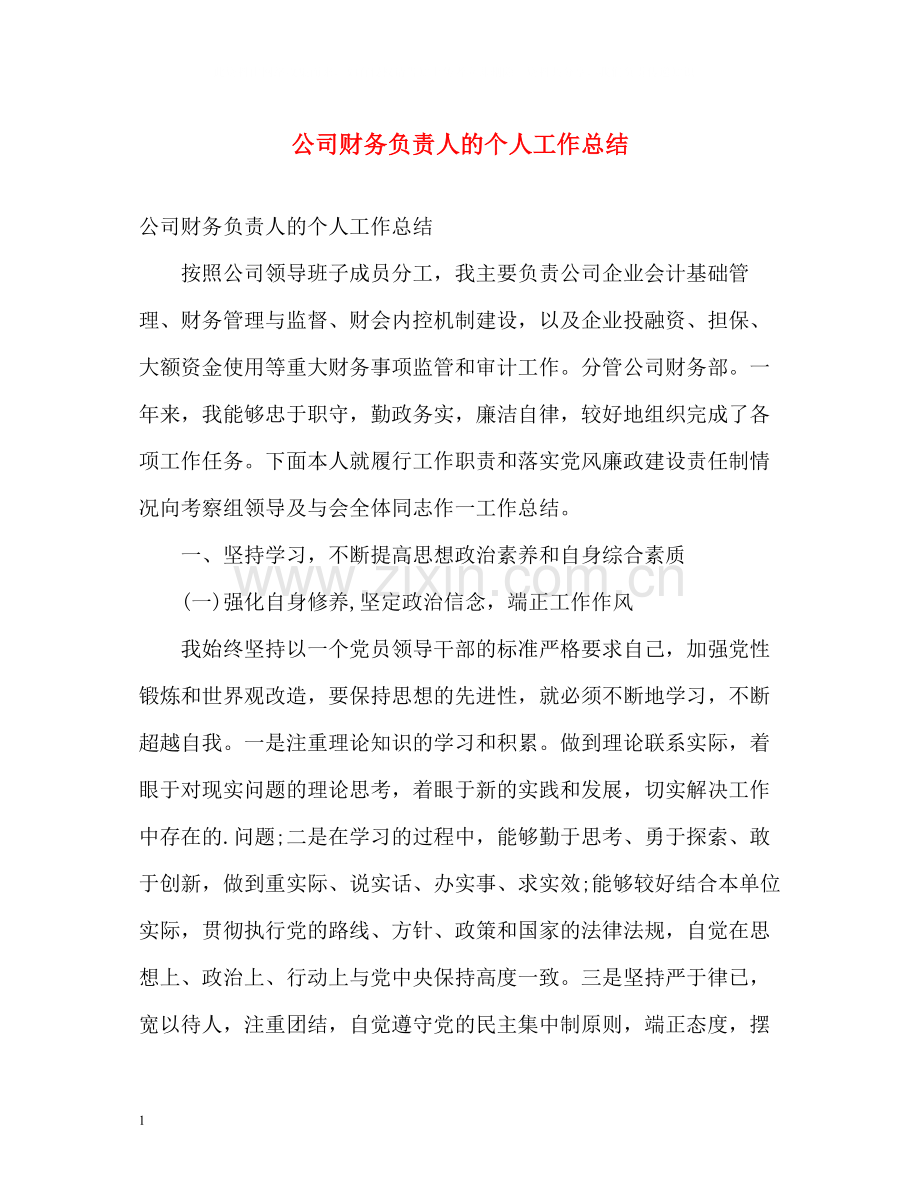 公司财务负责人的个人工作总结.docx_第1页