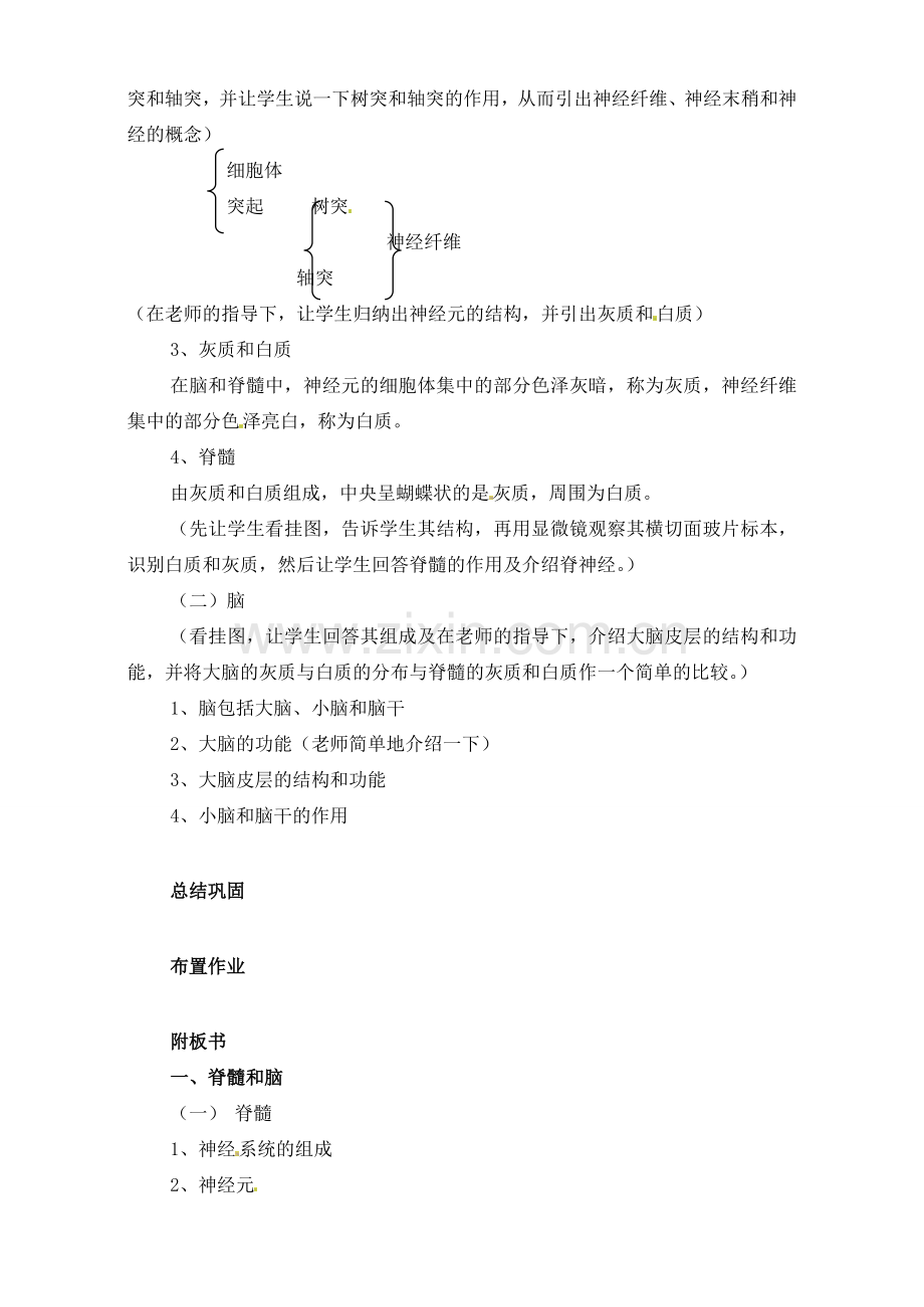 七年级生物下册 第12章 第2节 神经调节教案 苏教版.doc_第2页