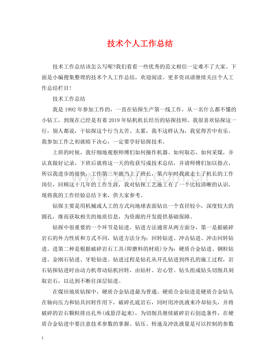 技术个人工作总结.docx_第1页