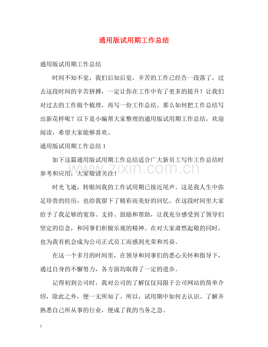 通用版试用期工作总结.docx_第1页
