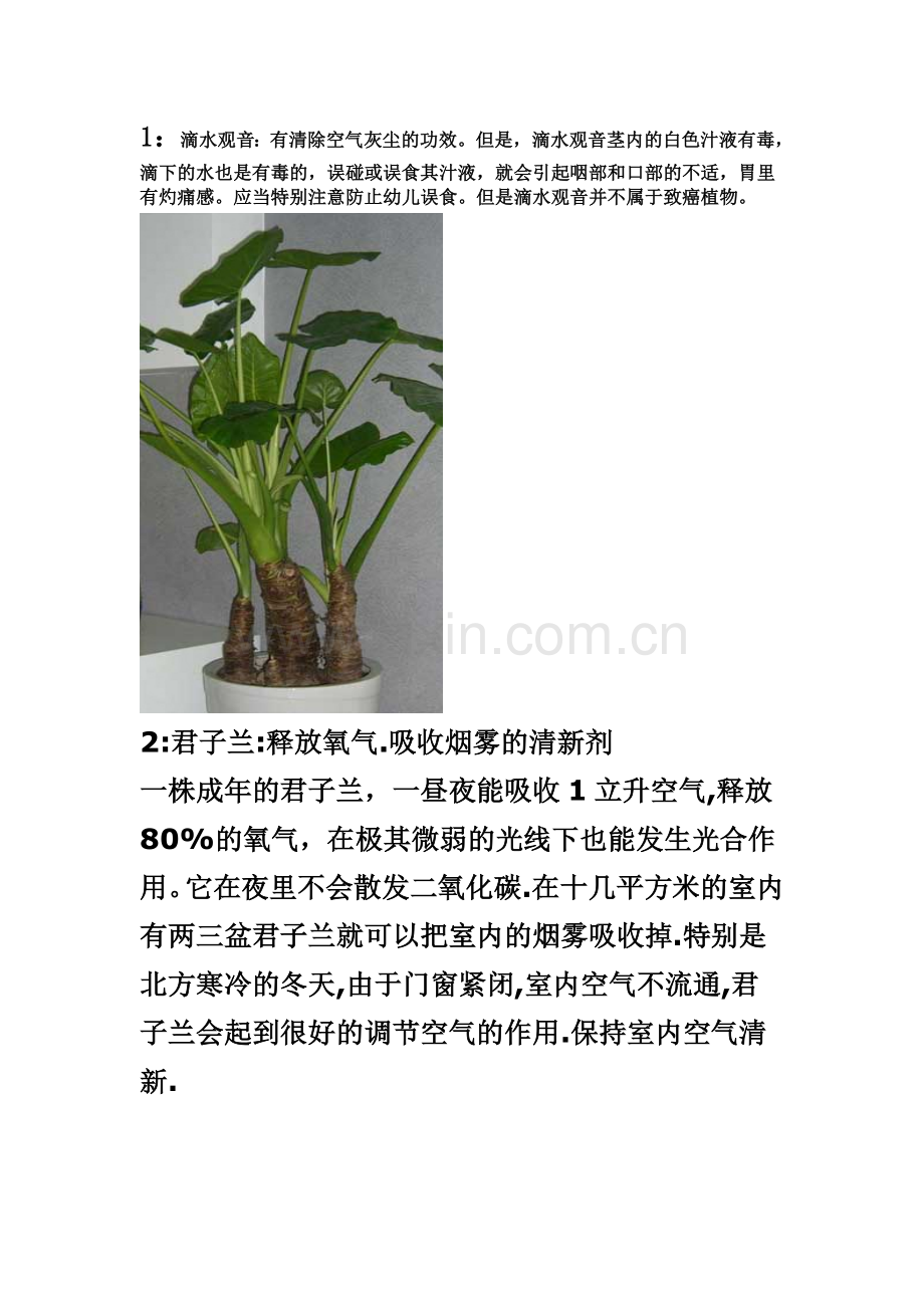 十四种卧室适宜种植的植物.doc_第1页