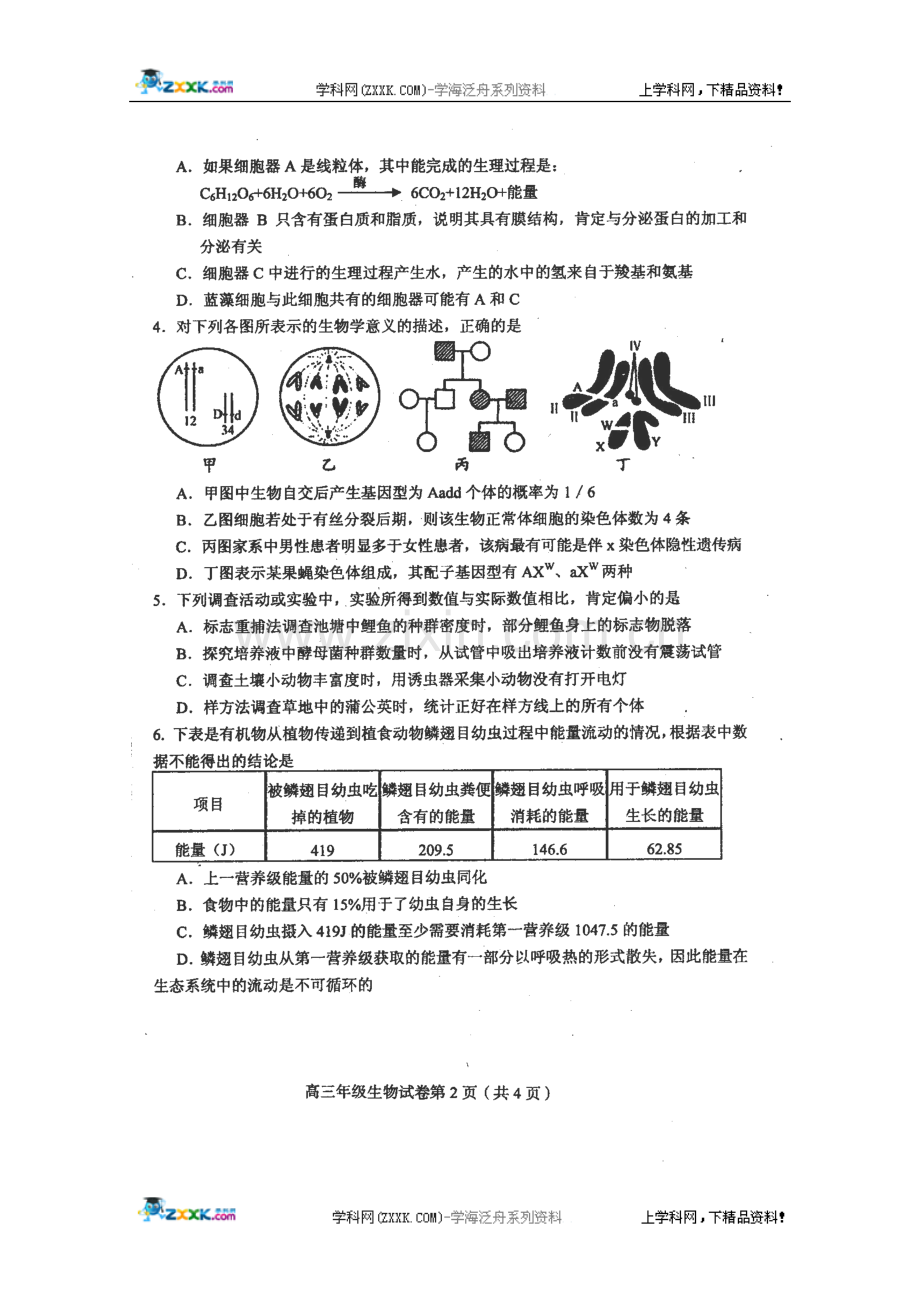 天津市及平区2010届高三二模拟考试生物试题(扫描版).doc_第2页