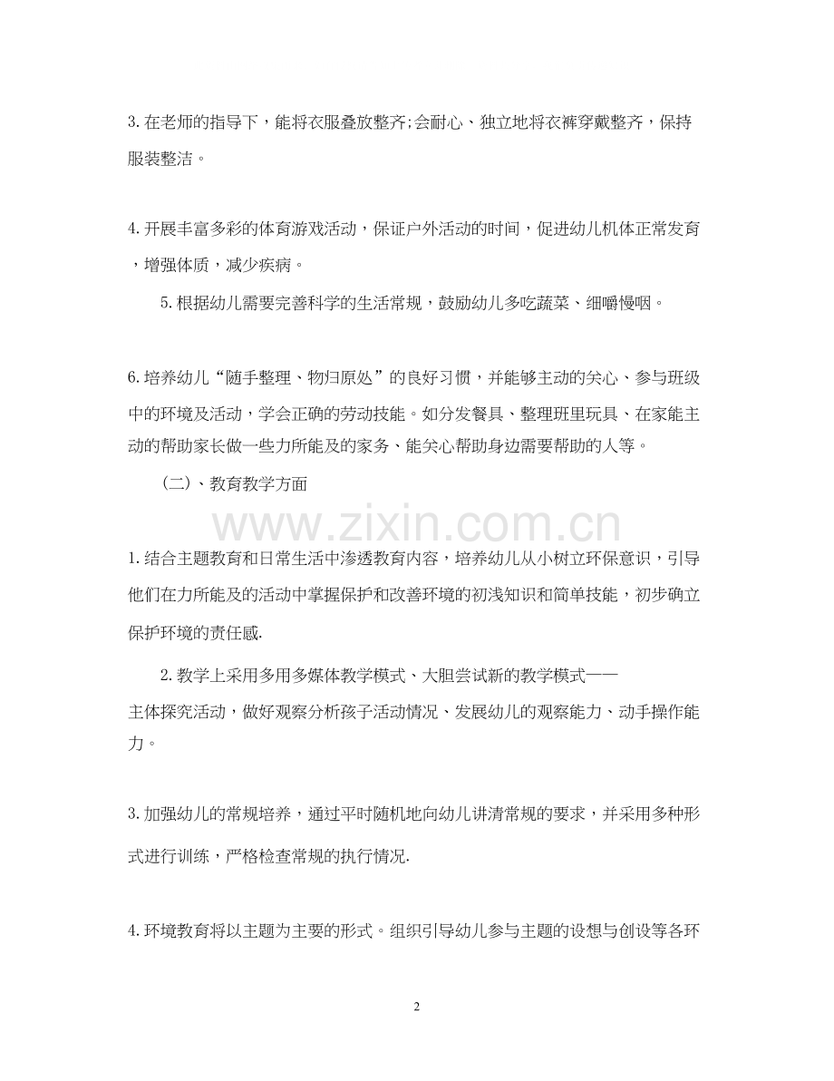 山村幼儿园工作计划.docx_第2页
