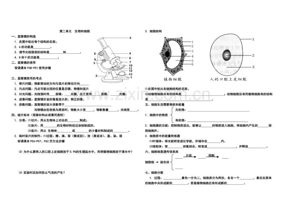 三、第二单元生物及细胞.doc_第1页