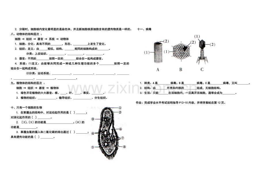 三、第二单元生物及细胞.doc_第2页