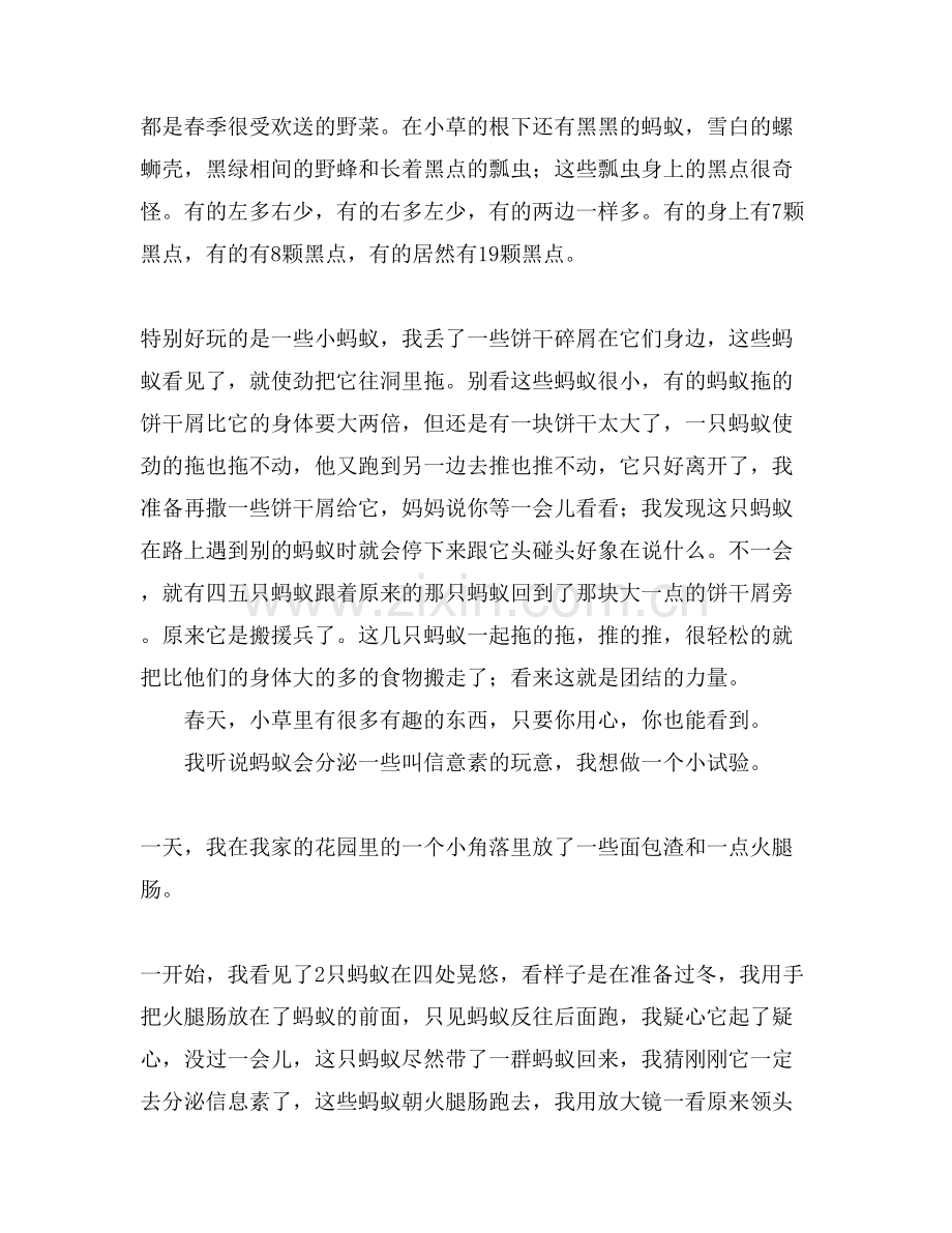 观察话题作文13篇.doc_第2页