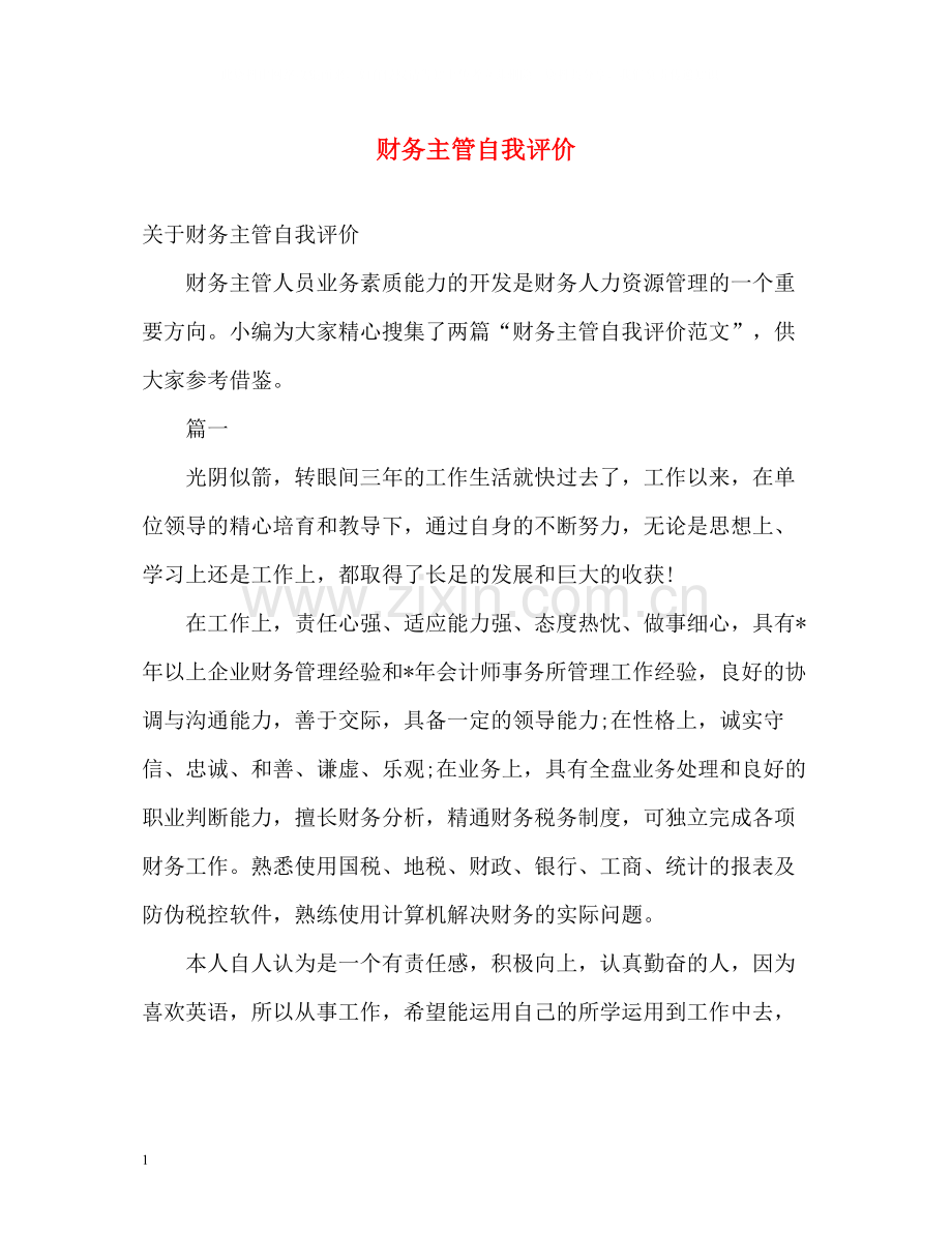 财务主管自我评价2.docx_第1页