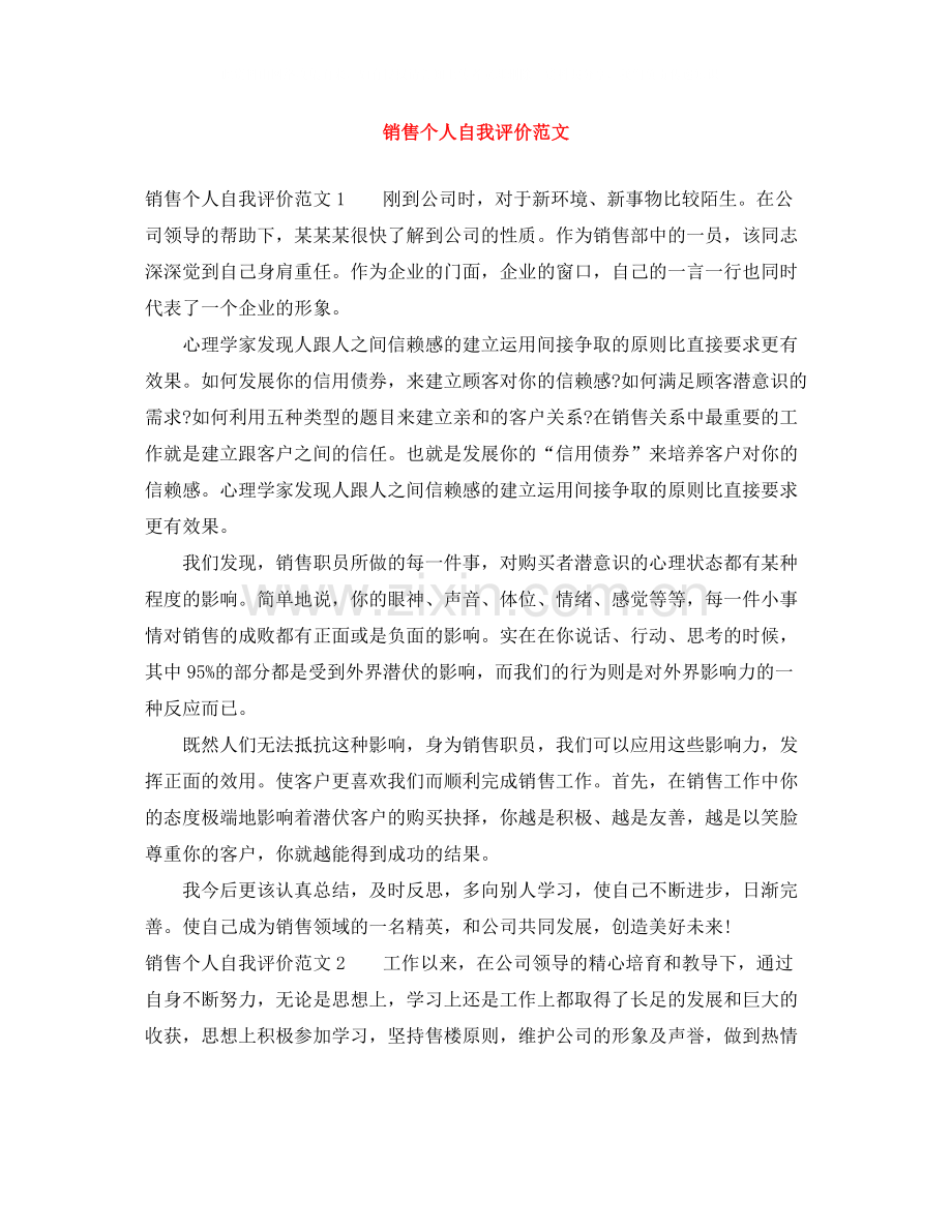 销售个人自我评价范文.docx_第1页