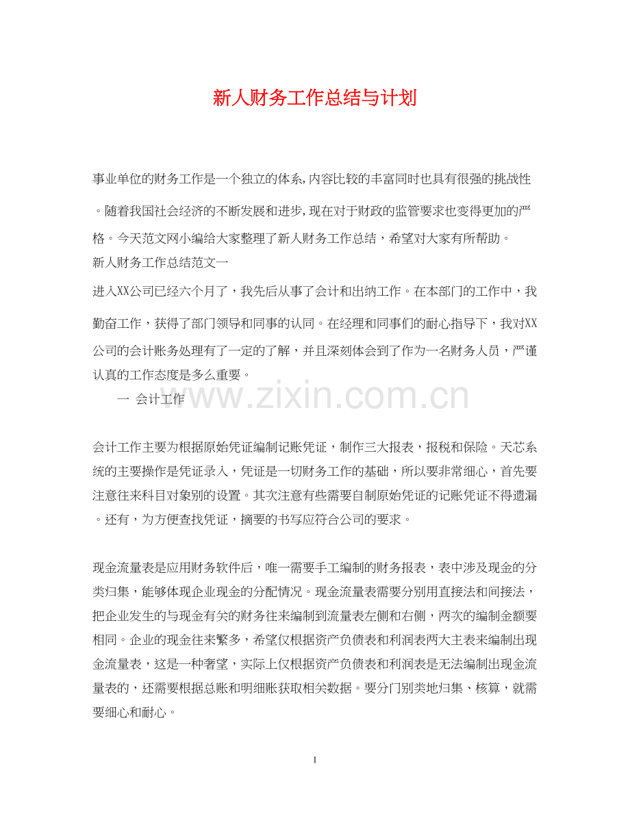 新人财务工作总结与计划.docx_第1页
