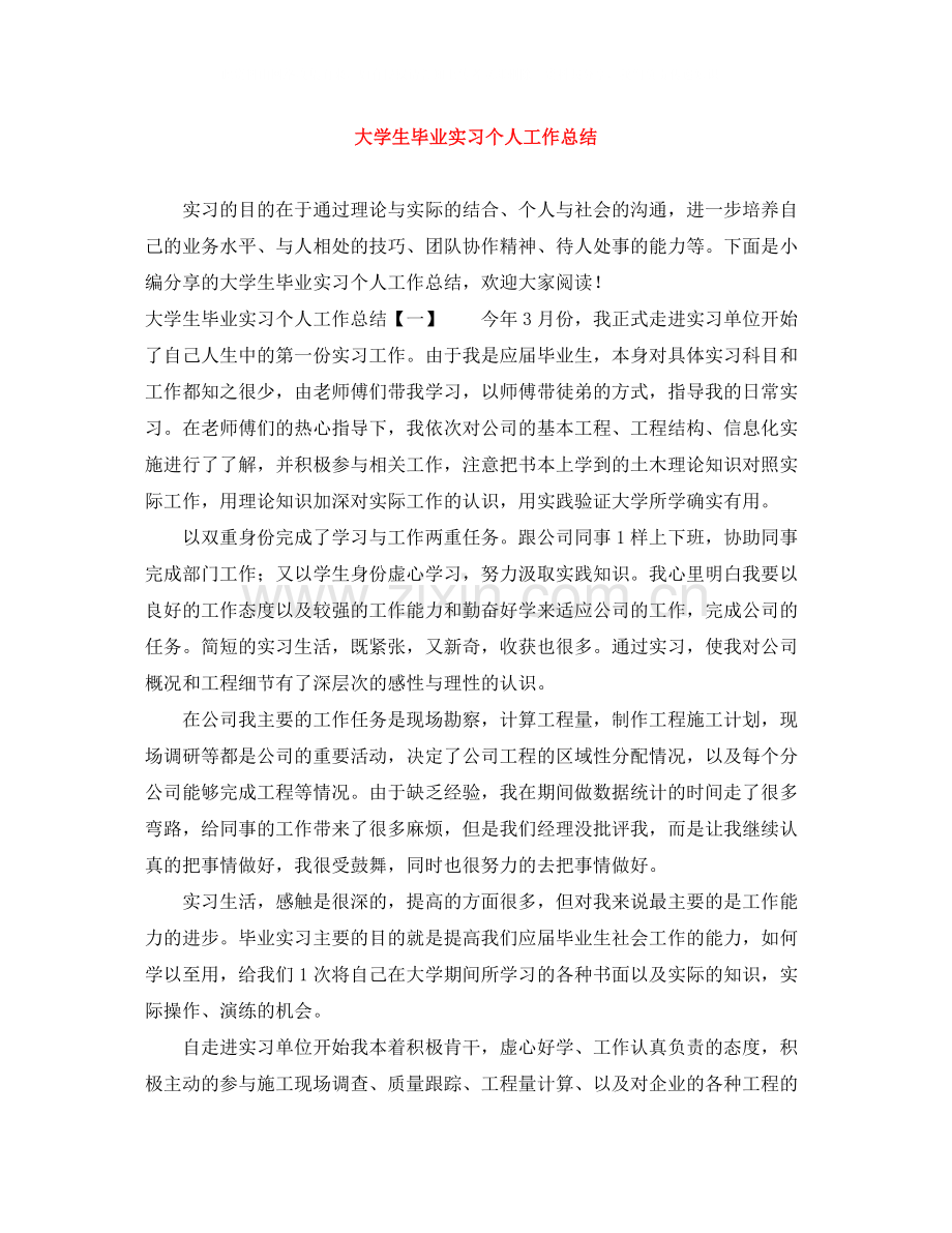 大学生毕业实习个人工作总结.docx_第1页