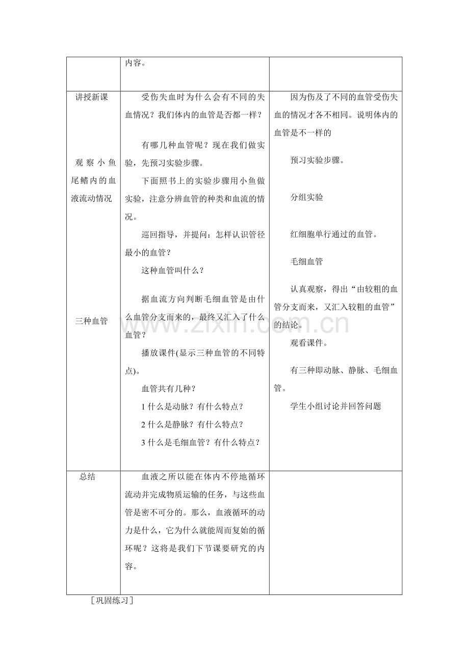 七年级数学下册第四单元第四章第二节血流的管道——血管教案人教版.doc_第2页