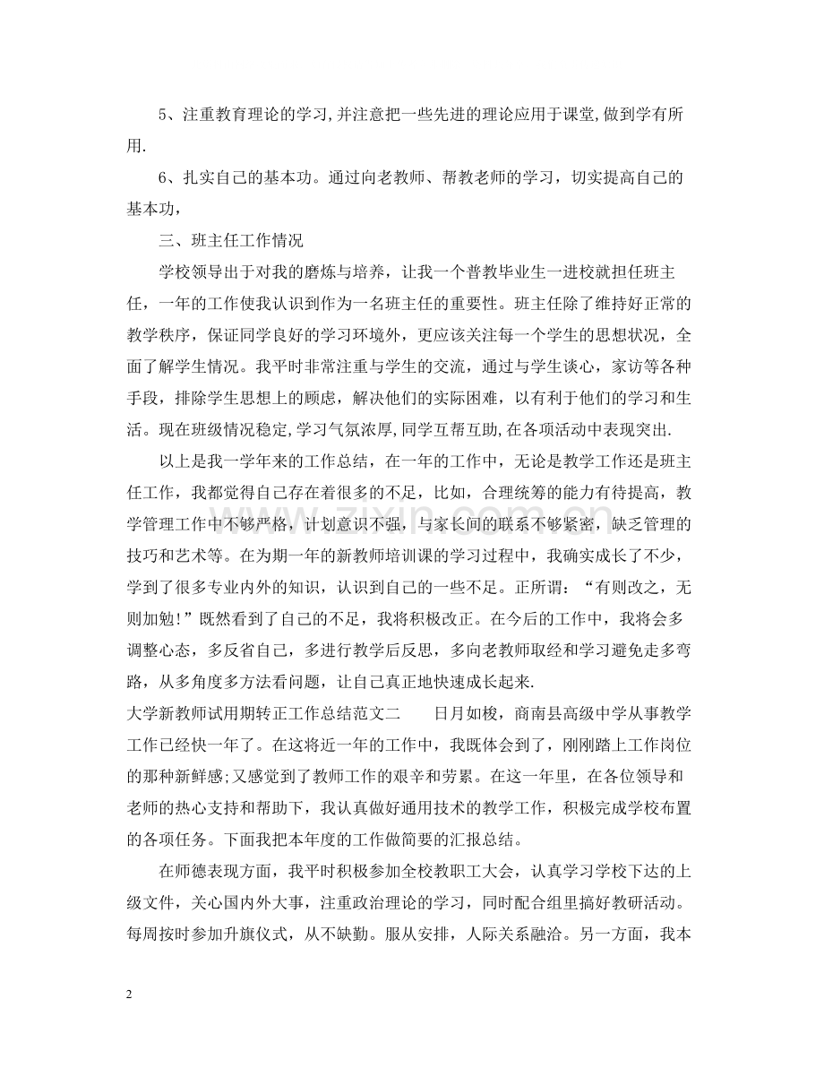 大学新教师试用期转正工作总结.docx_第2页