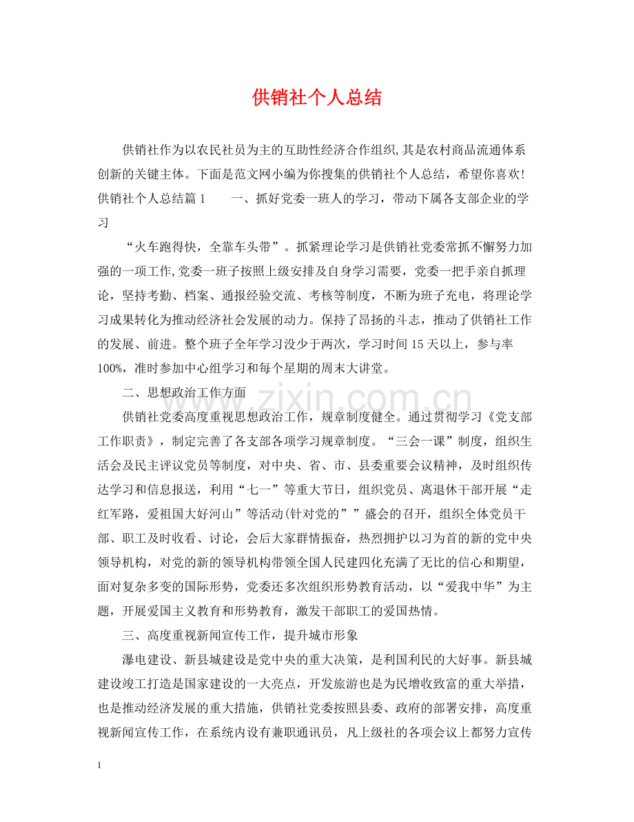 供销社个人总结.docx_第1页