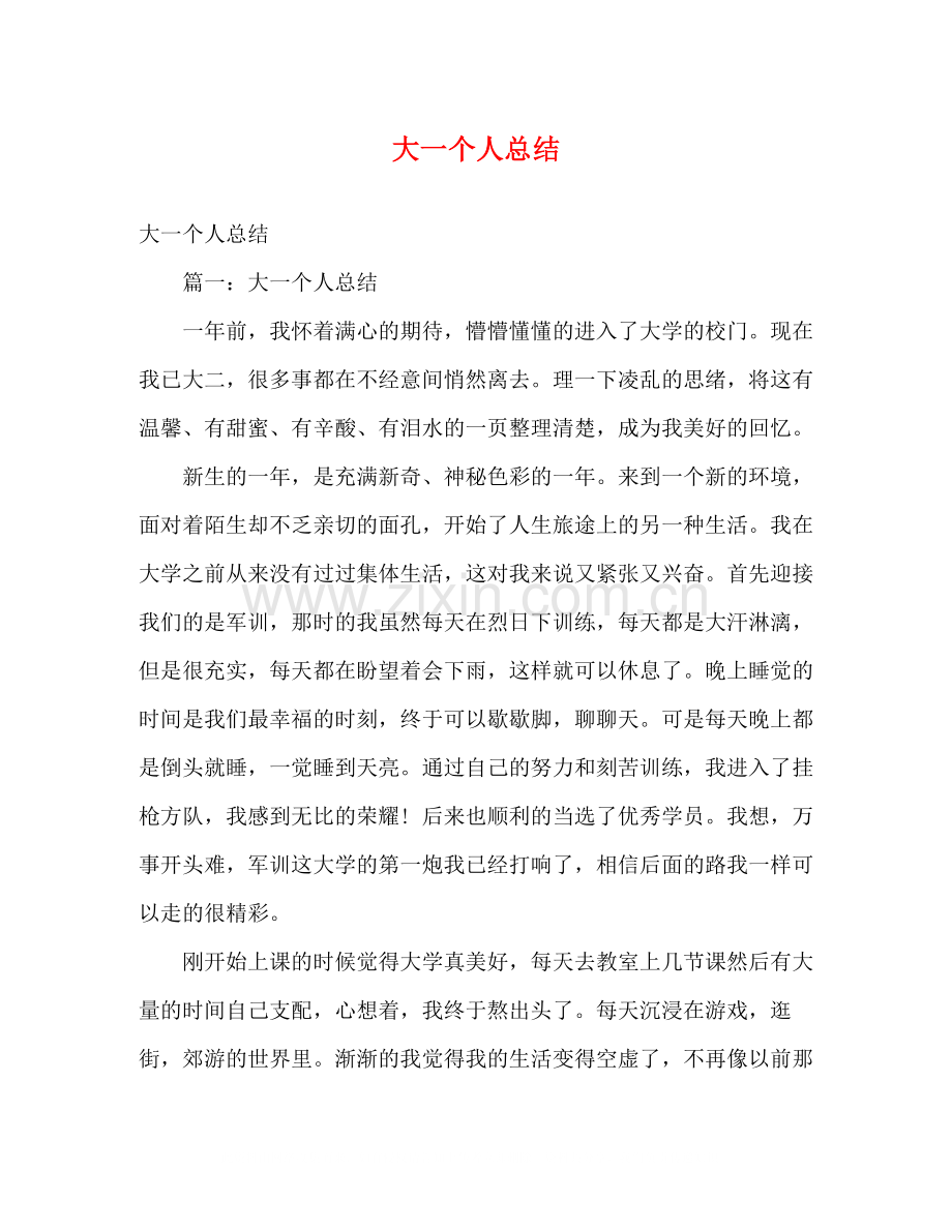大一个人总结2.docx_第1页