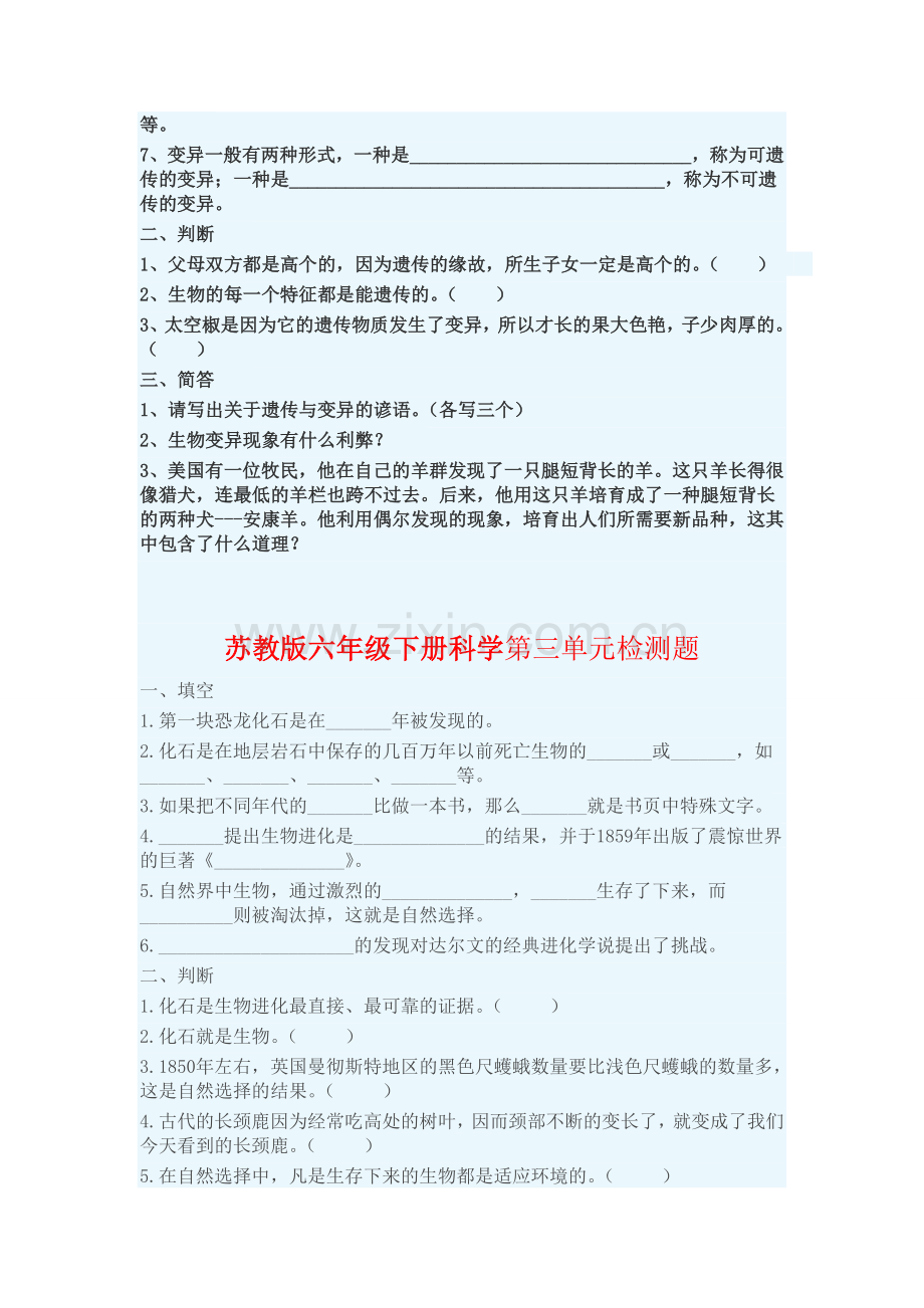 六年级单元练习.doc_第2页