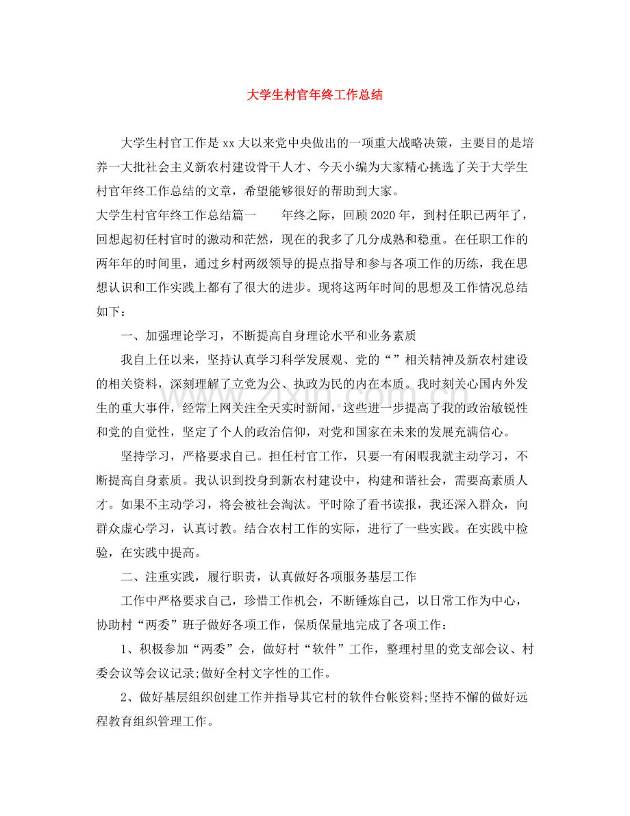 大学生村官年终工作总结2.docx_第1页
