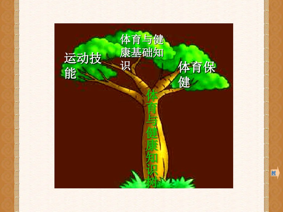 体育与健康知识树.ppt_第2页