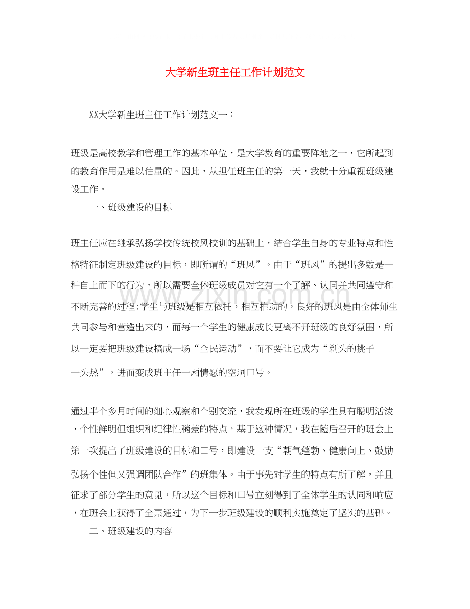 大学新生班主任工作计划范文.docx_第1页