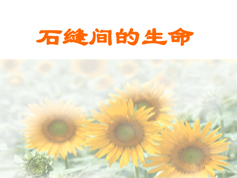 九年级语文下册 第2课(石缝间的生命)课件 语文版 课件.ppt_第1页