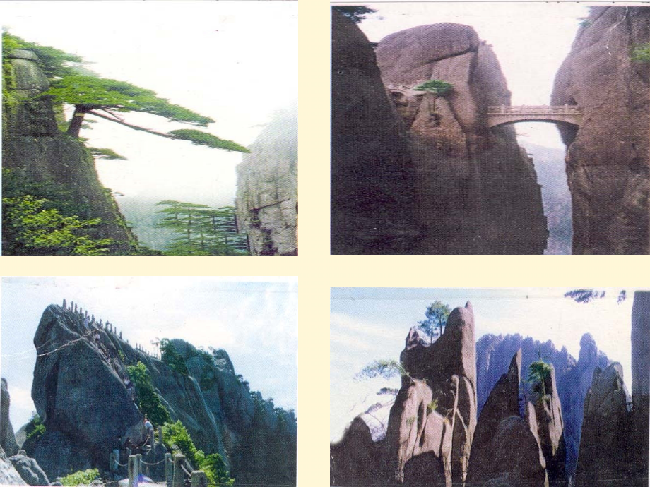 九年级语文下册 第2课(石缝间的生命)课件 语文版 课件.ppt_第2页