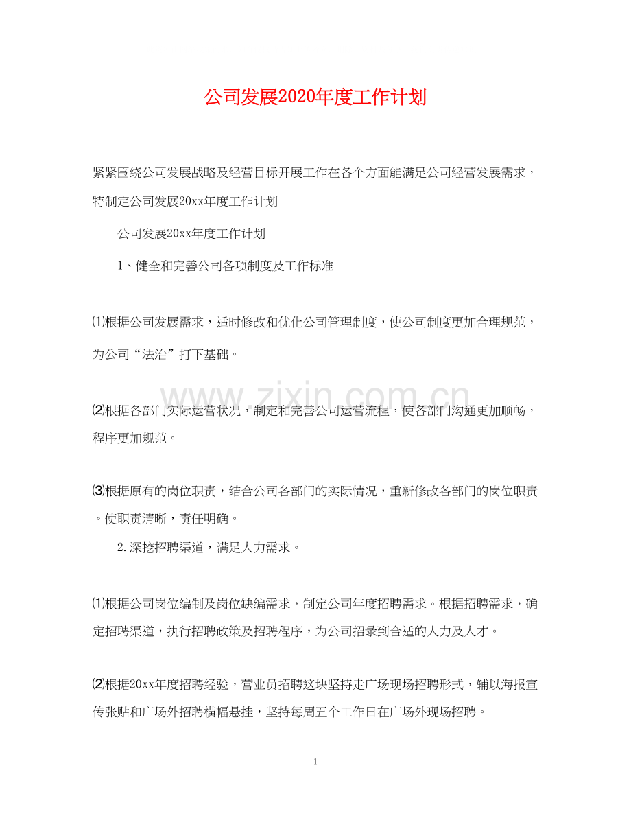 公司发展年度工作计划.docx_第1页