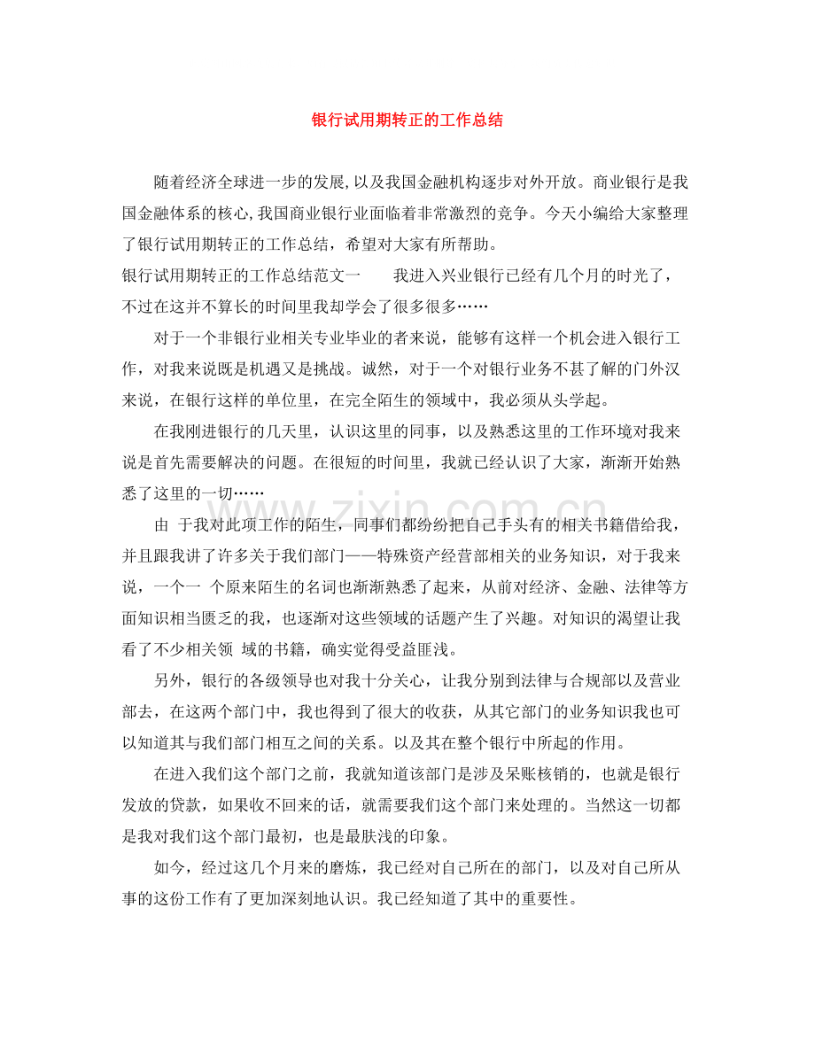 银行试用期转正的工作总结.docx_第1页