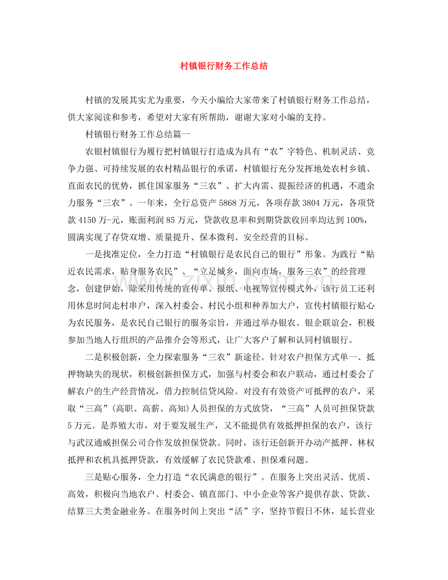 村镇银行财务工作总结.docx_第1页