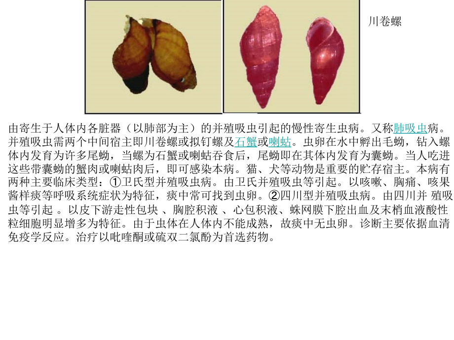 中间宿主—螺.ppt_第1页