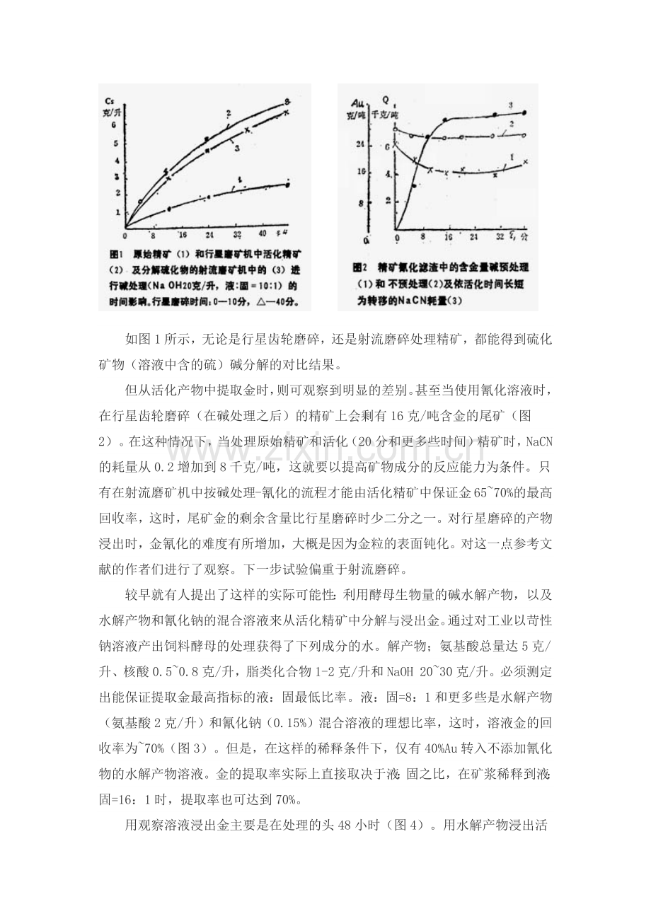 难处理的超细磨硫精矿的生物化学分解.docx_第2页