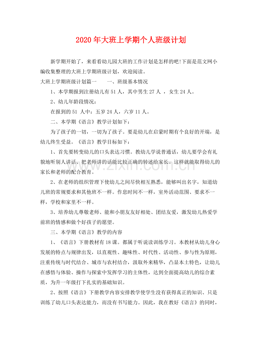 2020年大班上学期个人班级计划.docx_第1页