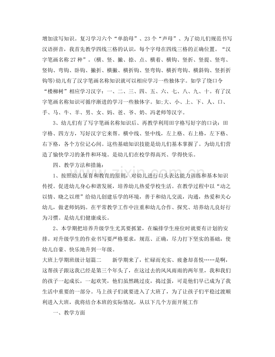 2020年大班上学期个人班级计划.docx_第2页