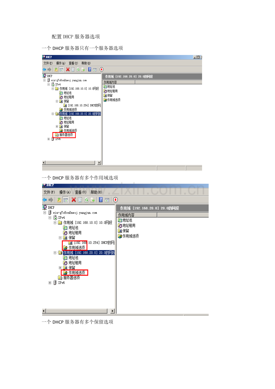 比较DHCP服务器选项及保留选项以及作用域选项区别.doc_第1页