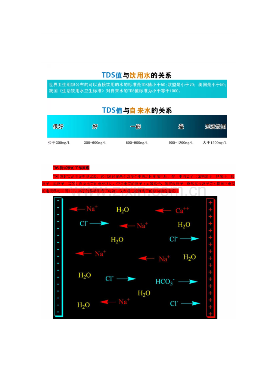 TDS水质测试.doc_第1页