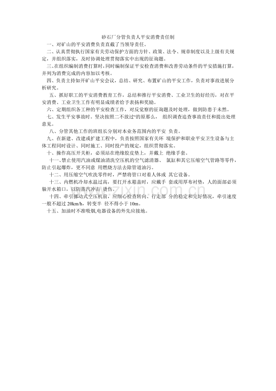 砂石厂分管负责人安全生产责任制.doc_第1页