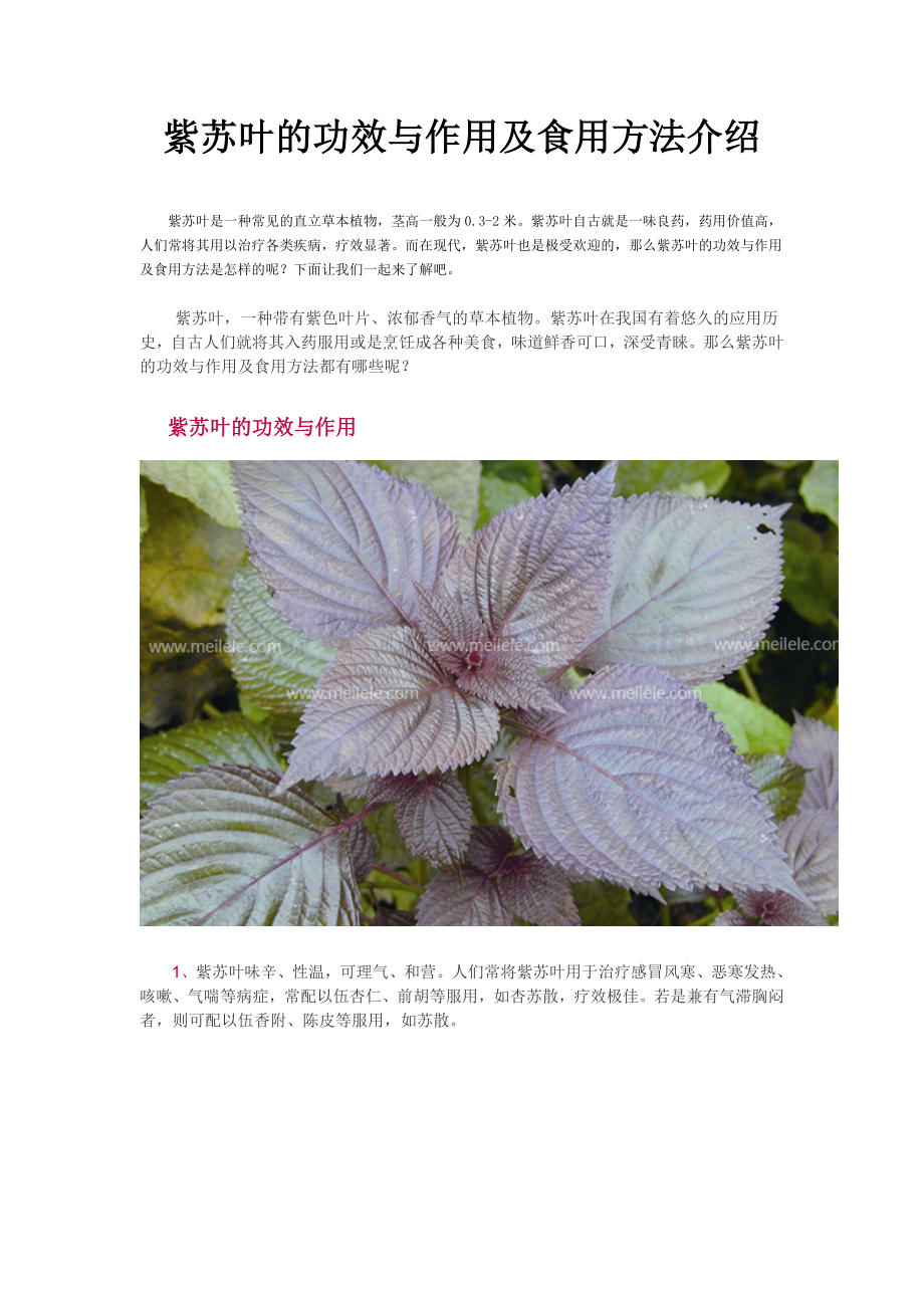 紫苏叶的功效与作用及食用方法介绍.doc_第1页