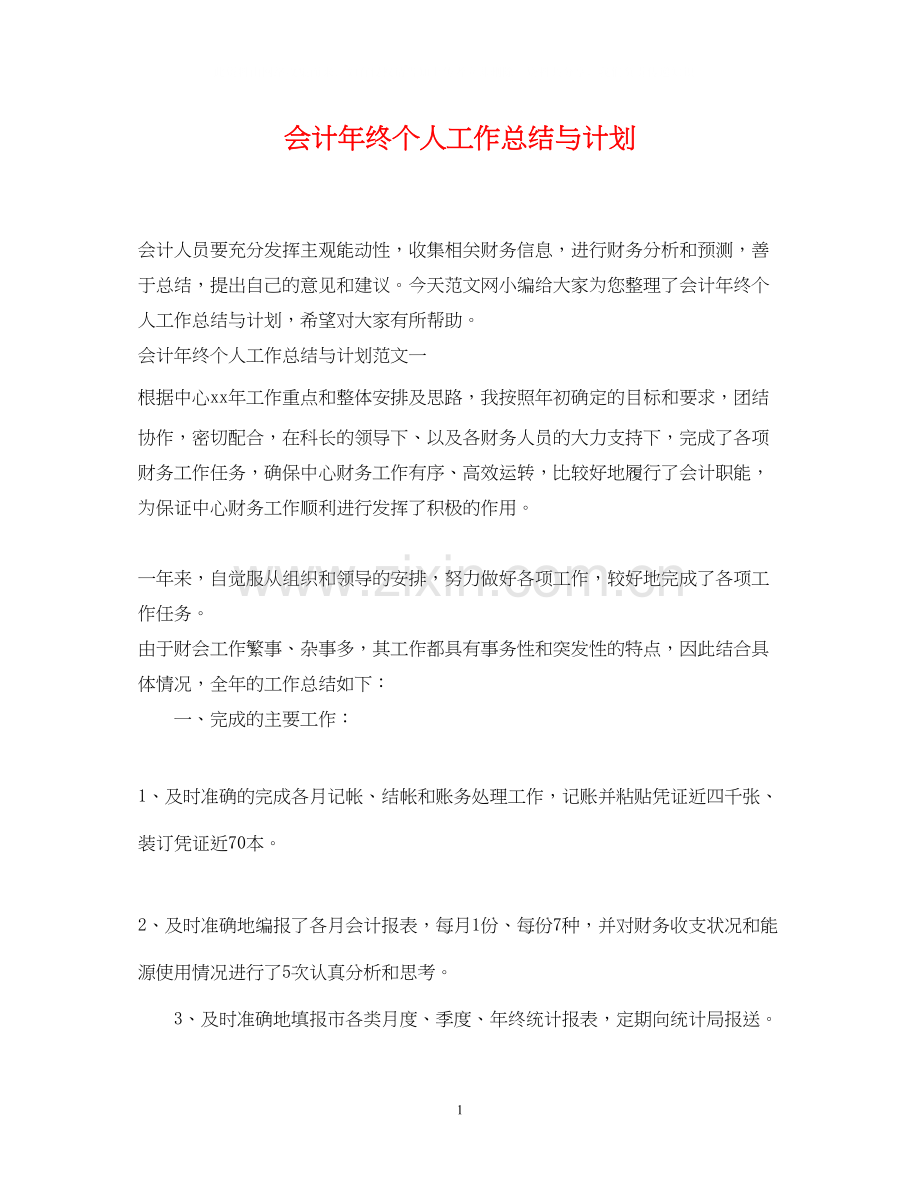 会计年终个人工作总结与计划.docx_第1页