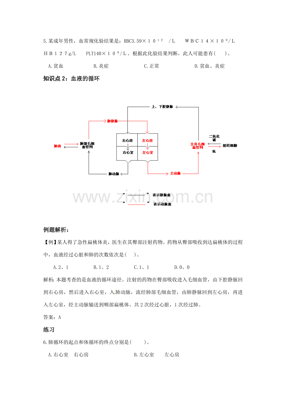 中考一轮复习教案—第八讲人体内的物质运输济南版.doc_第2页