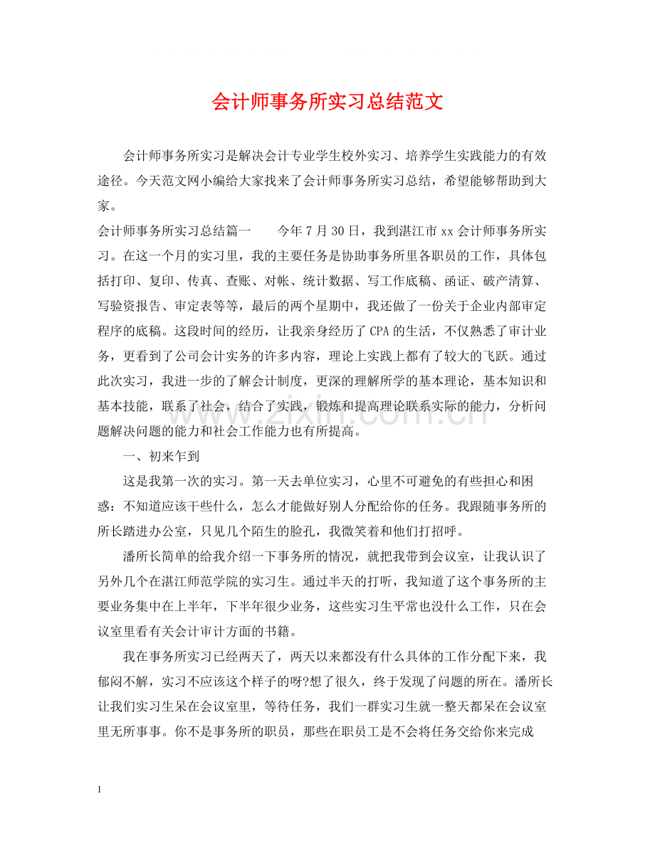 会计师事务所实习总结范文.docx_第1页